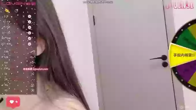 -Skade-