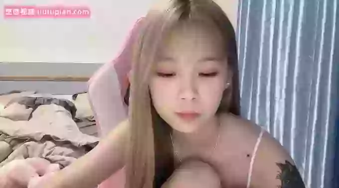 ai_meimei