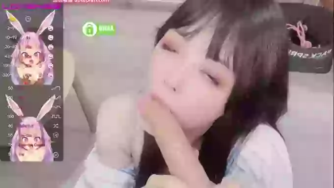 leilei-