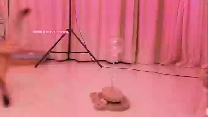 Angela88