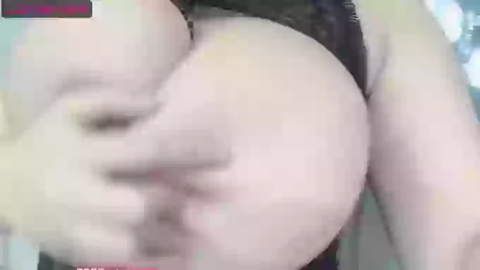 QingQingYa
