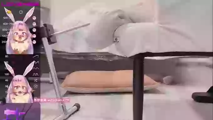 leilei-