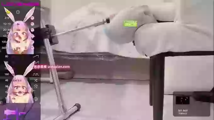 leilei-