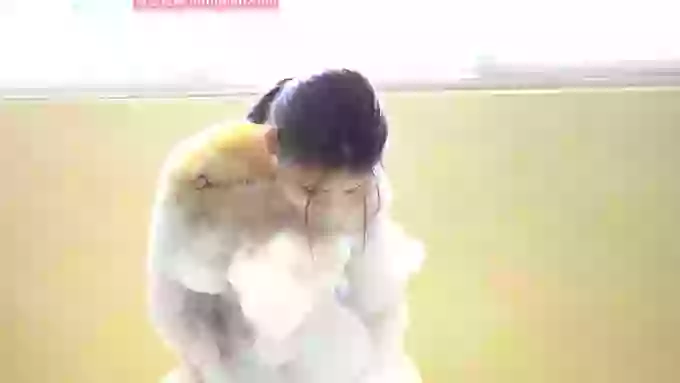秀人网-芷儿momoko
