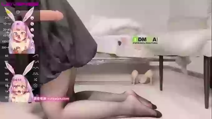 leilei-