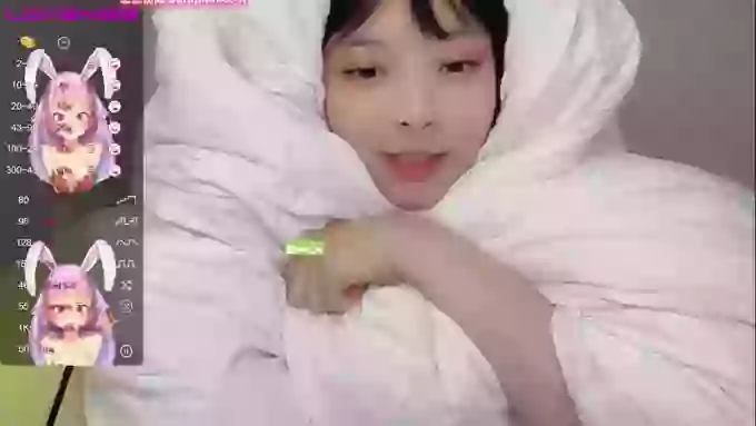 leilei-