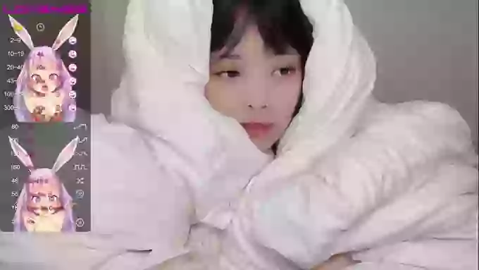 leilei-