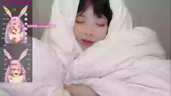 leilei-