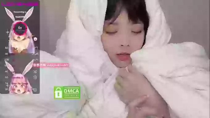 leilei-