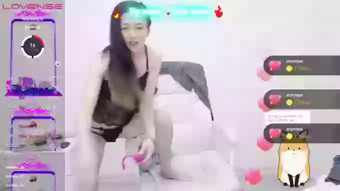 mkk11333