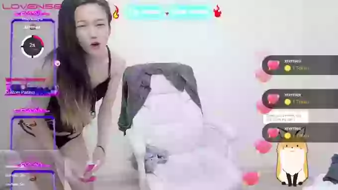 mkk11333
