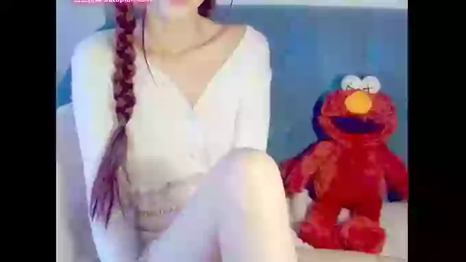 BubbleschewingGum