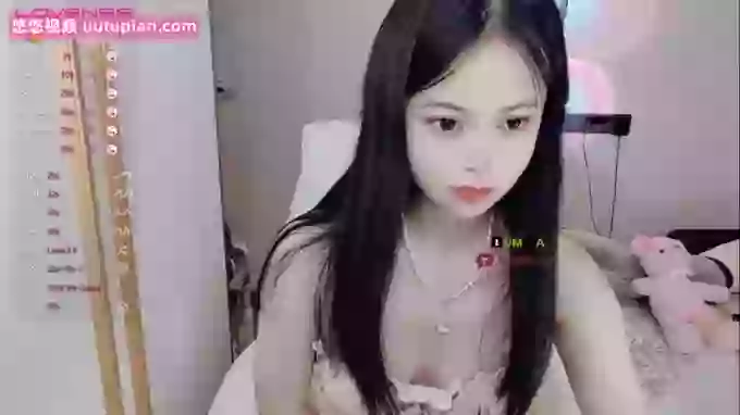 SibylX