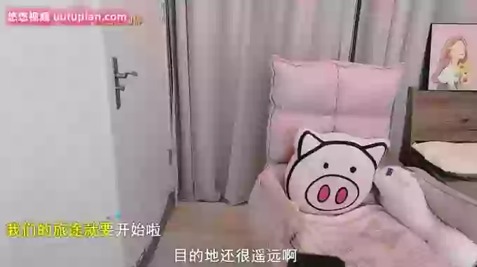 z_xinxin