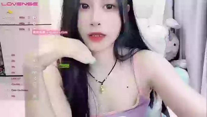 daisy_top