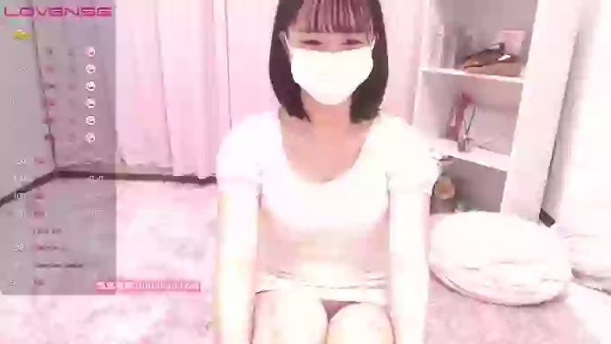 ccoSAKURAocc