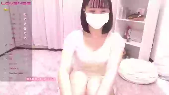 ccoSAKURAocc