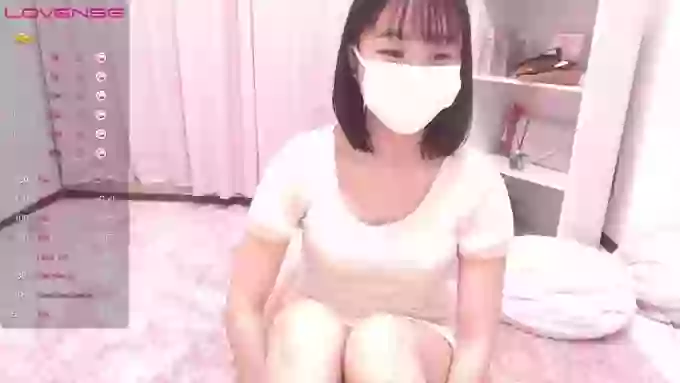 ccoSAKURAocc