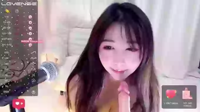 CAiHongtutu