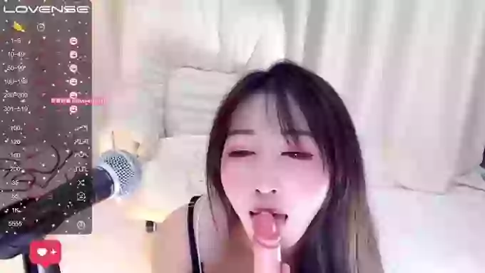 CAiHongtutu