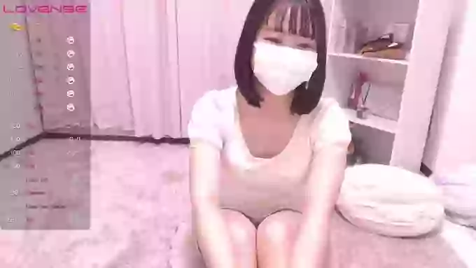 ccoSAKURAocc
