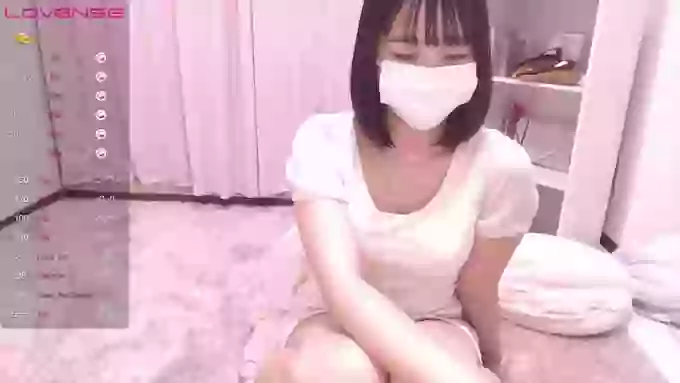 ccoSAKURAocc