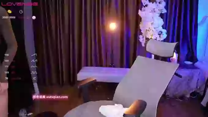 _z_____