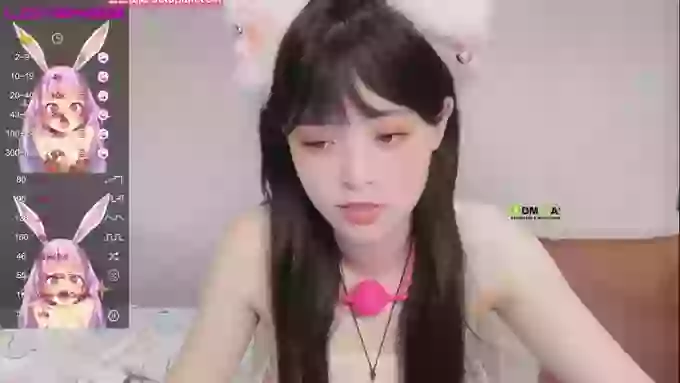 leilei-