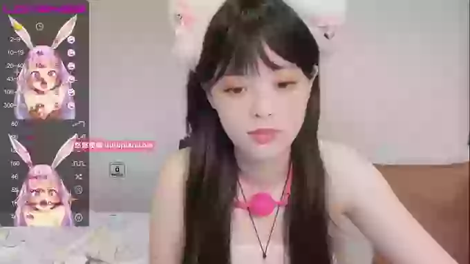 leilei-