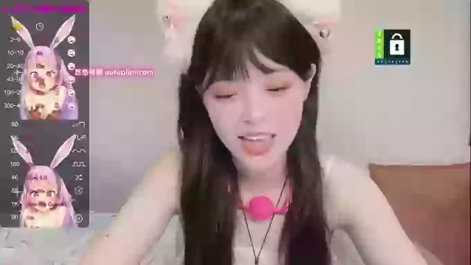 leilei-