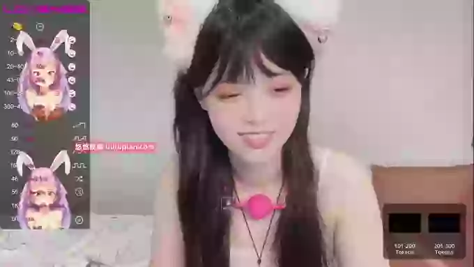 leilei-