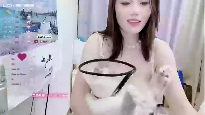 Ecup-JULI
