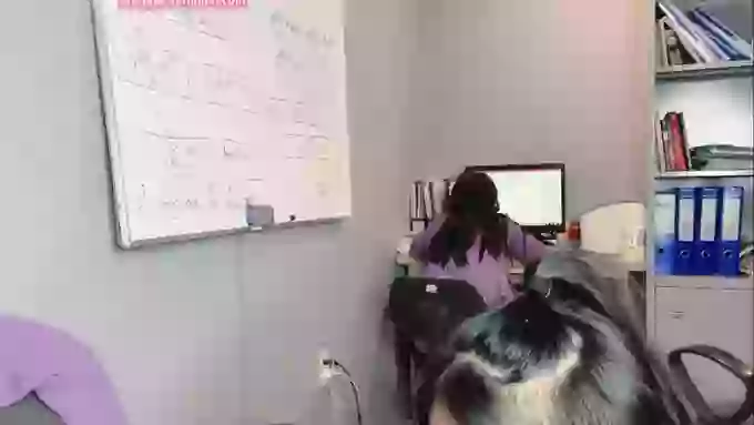 Yumi-Office