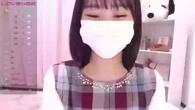 ccoSAKURAocc