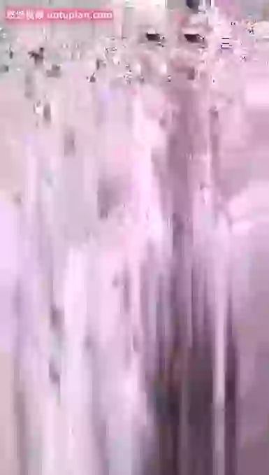 小妲己-小苏菲