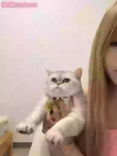 Andy_coco