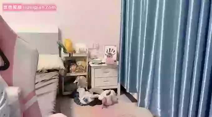 ai_meimei