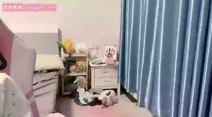 ai_meimei