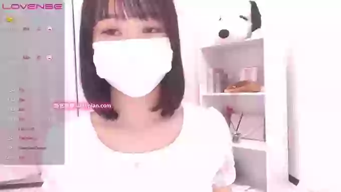 ccoSAKURAocc