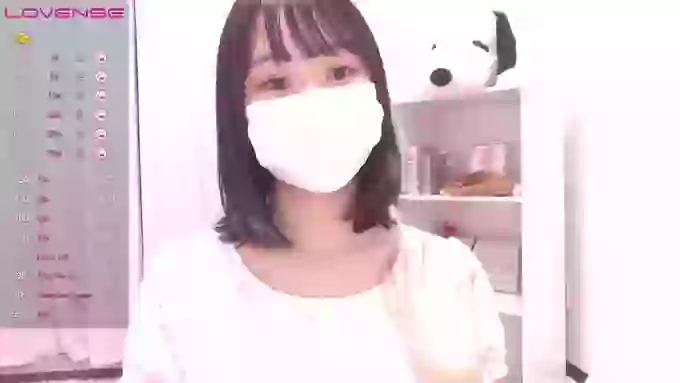 ccoSAKURAocc