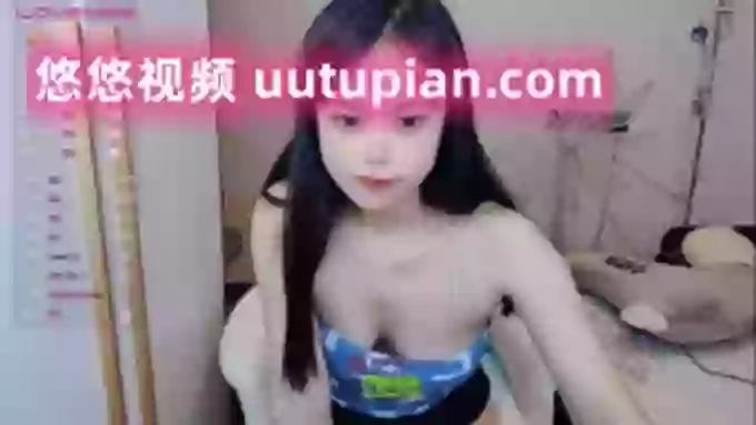 SibylX