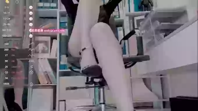 Cici-Secretary