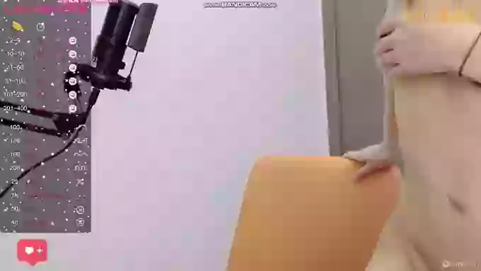 -Skade-