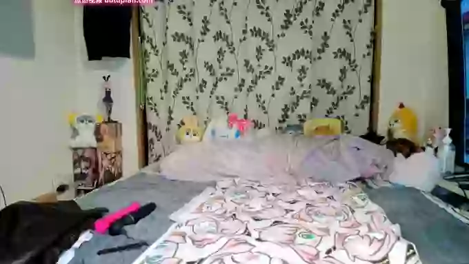 sachi_Lorita