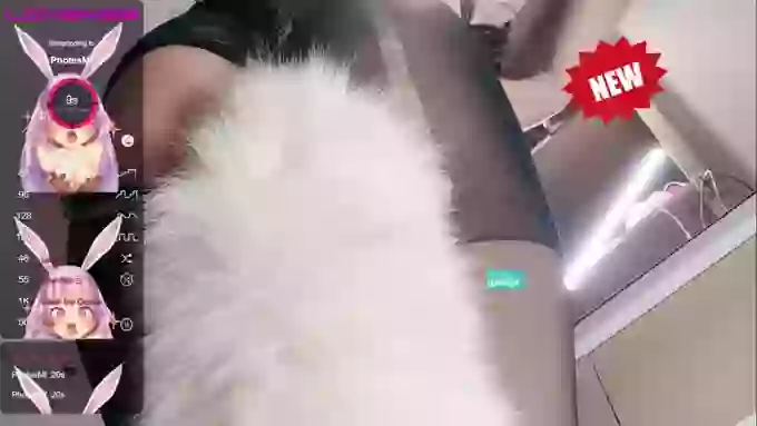 leilei-