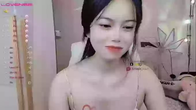 SibylX