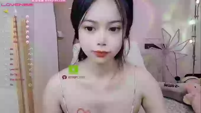 SibylX