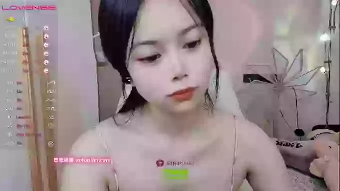SibylX