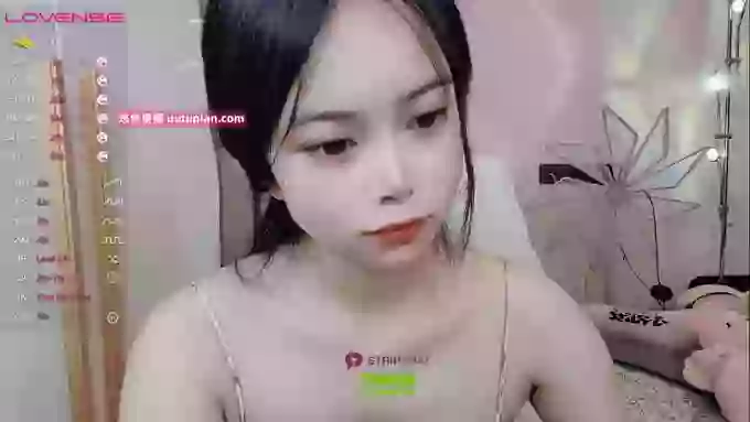 SibylX