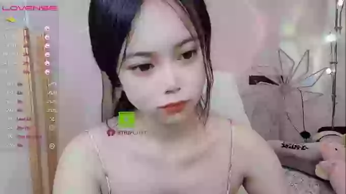 SibylX